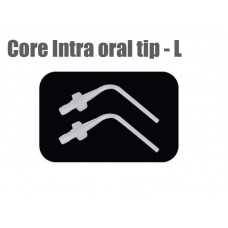 Core Intra Oral Tip - L (S118)